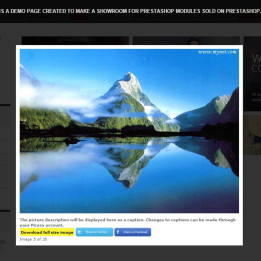 Prestashop Picasa Responsive Web Picture Gallery for Prestashop