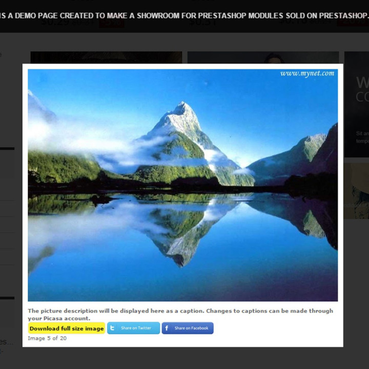 Prestashop Picasa Responsive Web Picture Gallery for Prestashop