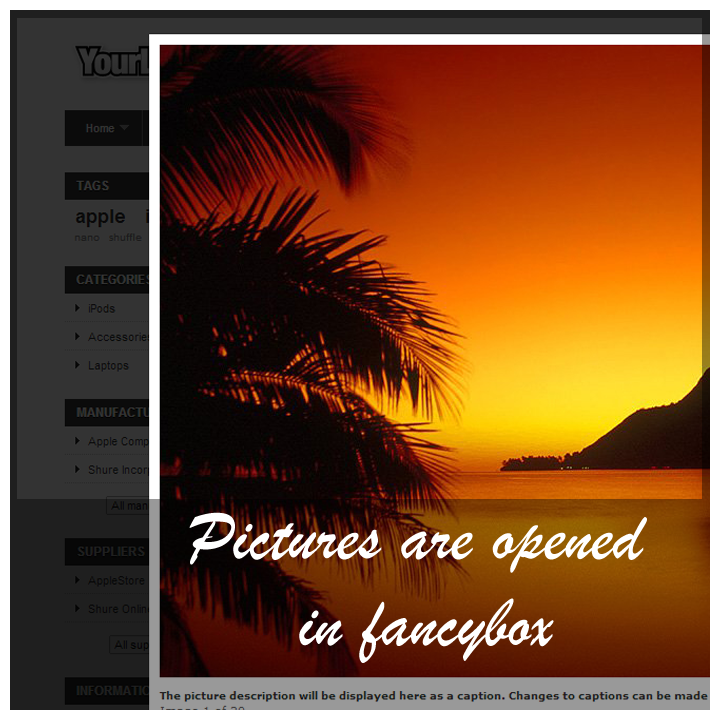 Prestashop Picasa Responsive Web Picture Gallery for Prestashop