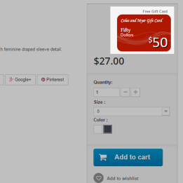 Gift Card Coupon Banner Showcase for Products
