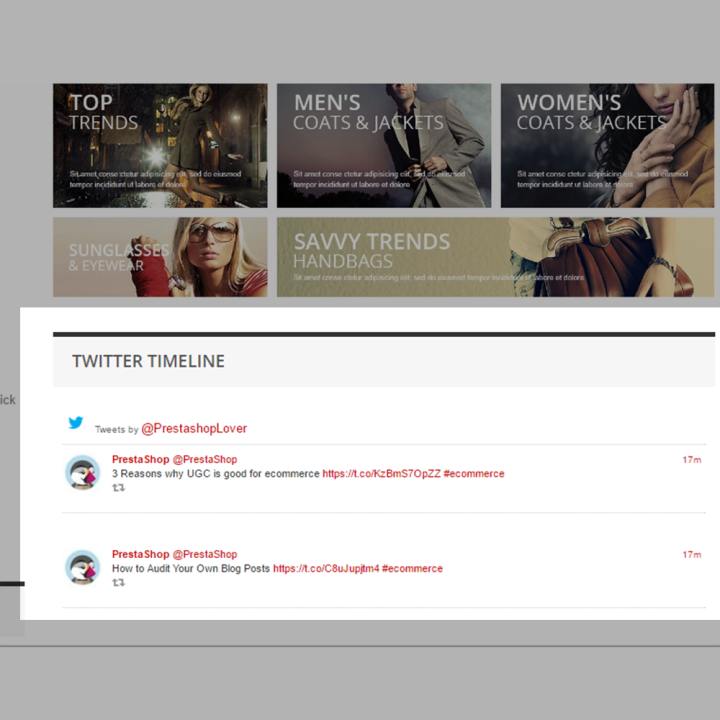 Prestashop X Timeline Slider Pro Module- by MEG Venture